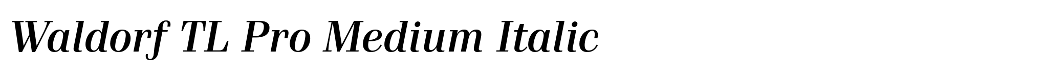 Waldorf TL Pro Medium Italic image